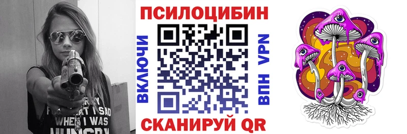 купить цена Верея OMG онион Галлюциногенные грибы мицелий